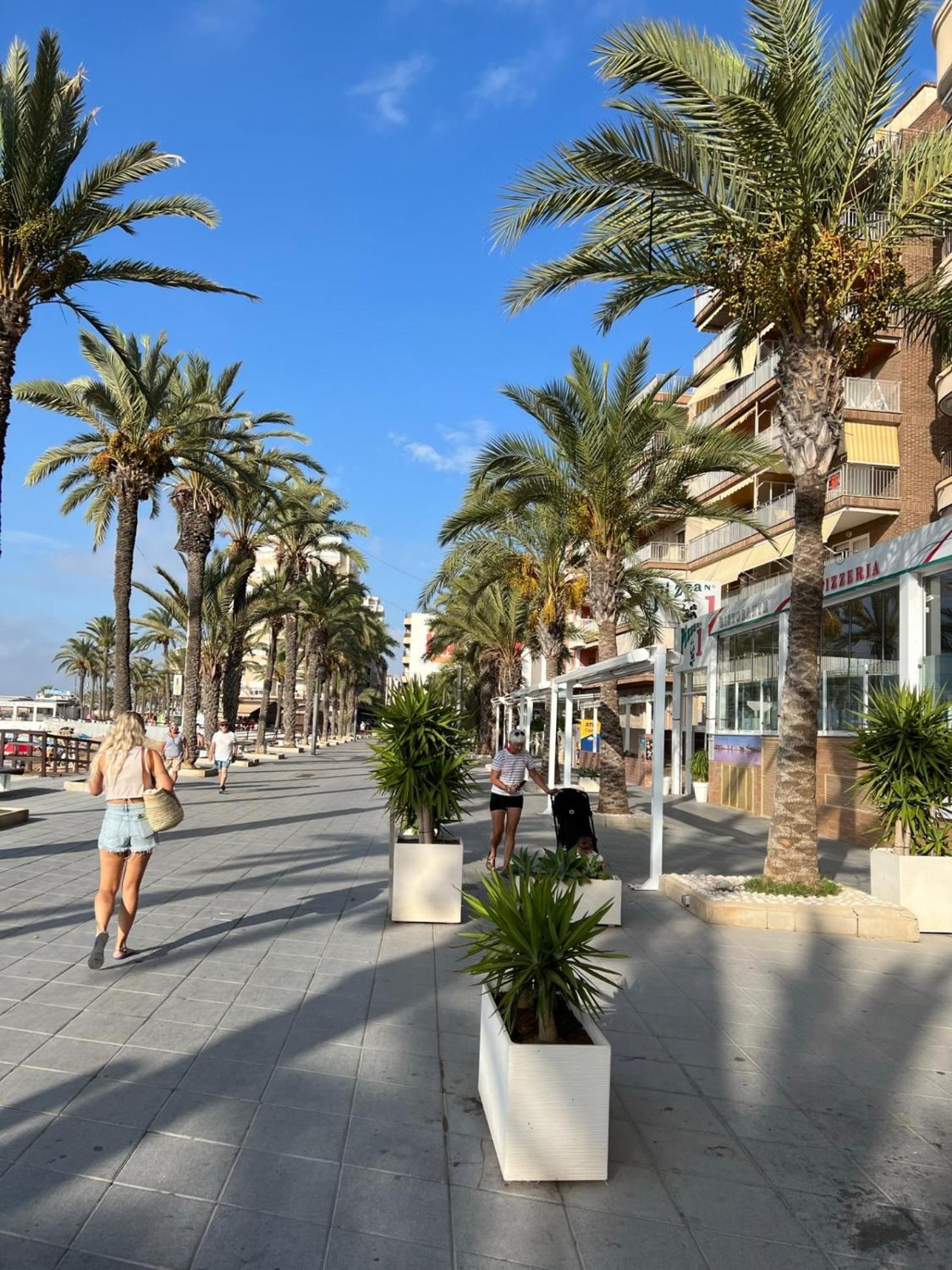 Beautiful Apartment Playa Del Cura Beach In Torrevieja Spain Exteriör bild